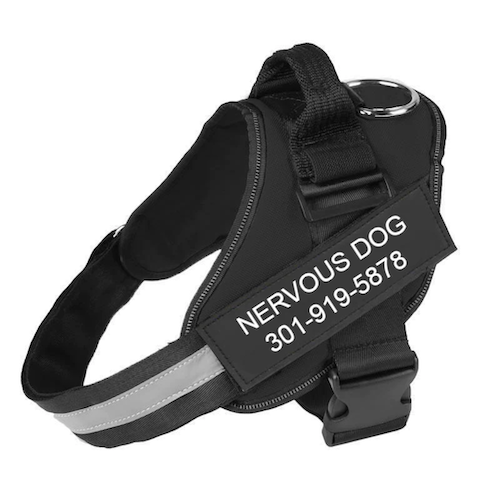 ORBITZ™   - CUSTOM FIT NO-PULL DOG HARNESS