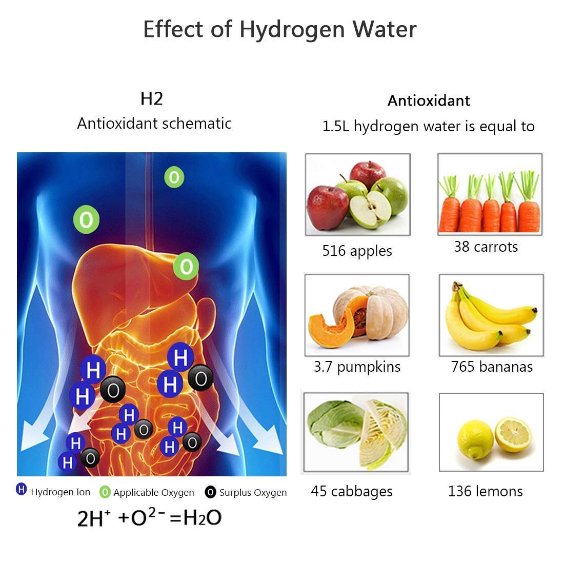 ORBITZ™   - HYDROGEN WATER BOTTLE